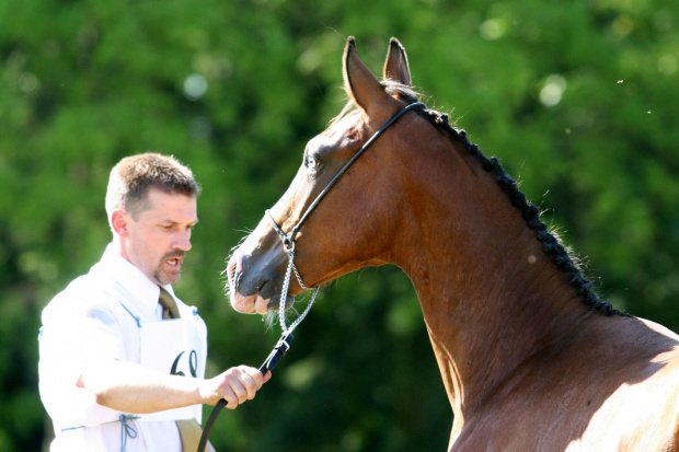 Adrenalina czempionat Białka 2010