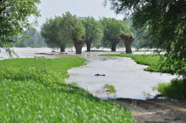 http://www.emotocykl.pl #powódź #plock