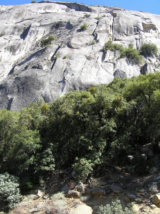 Park Yosemite