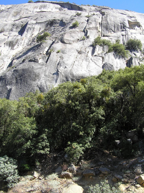 Park Yosemite