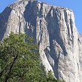 Park Yosemite