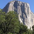 Park Yosemite