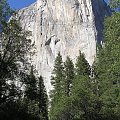 Park Yosemite