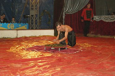 Cyrk Safari-2010. Zapraszamy na www.portalcyrkowy.ubf.pl #cyrk #safari #sezon #clown #rzeszów #występycyrkowe #kmc #portal #cyrkowy #portalcyrkowy #cyrksafari #arena