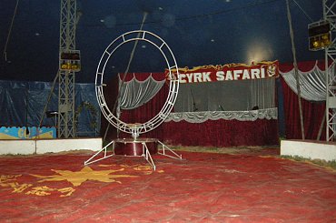 Cyrk Safari-2010. Zapraszamy na www.portalcyrkowy.ubf.pl #cyrk #safari #sezon #clown #rzeszów #występycyrkowe #kmc #portal #cyrkowy #portalcyrkowy #cyrksafari #arena