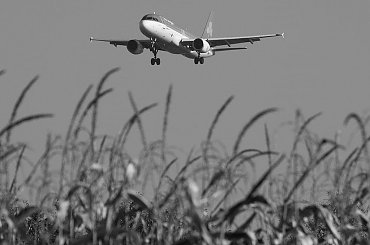 kukurydza #epkk #a320 #Balice