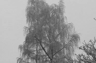 Piaskowa Góra w przedpołudniowej mgle #Wałbrzych