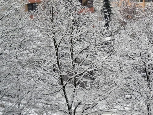 Taki widok kocham.