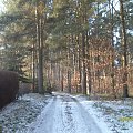 Las otaczający jezioro Głębokie