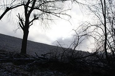 Góry Sowie 2008 #góry #zima #snieg #widoki