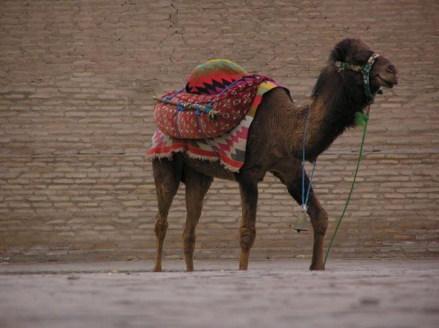 Chiwa, Itchan Kala #Chiwa #Khiva #zabytki #Azja #miasto #historia