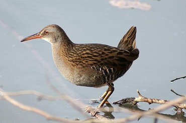 wodnik w akcji #wodnik