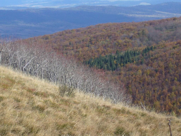 #góry #bieszczady #jesień