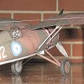 PZL P.24G