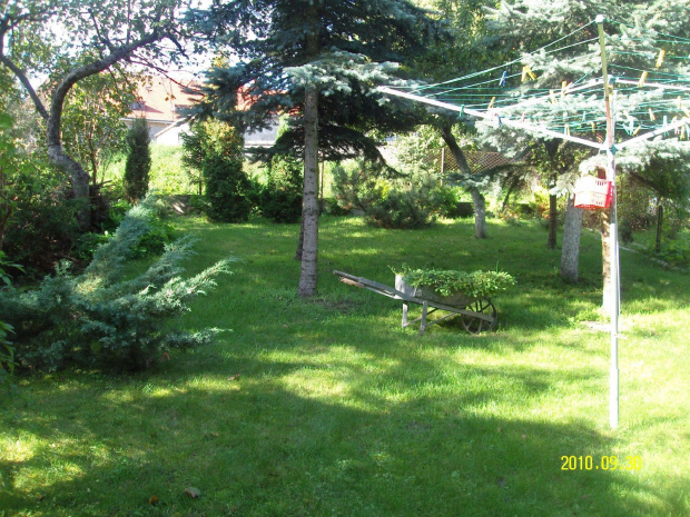 Ogród w Gorzowie