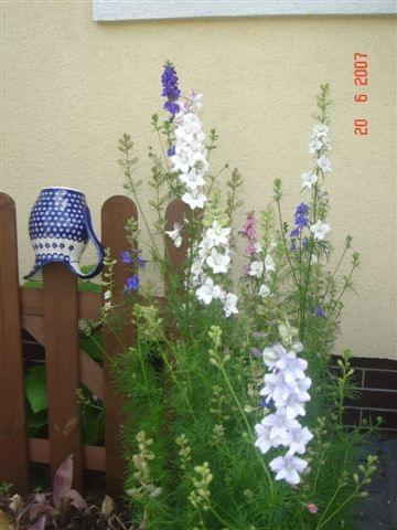 Nasz ogród 2007 styczeń-lipiec #OgródKrajobrazKwiaty