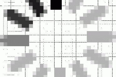 #Allegro #szablon #aukcja