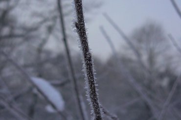 Rudy,zima,park #Rudy #zima #park