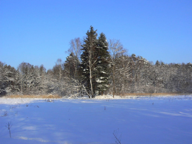 Rudy,zima,park #Rudy #zima #park