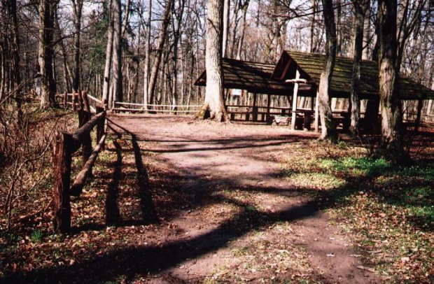 Na ścieżce zdrowia w Galinach.