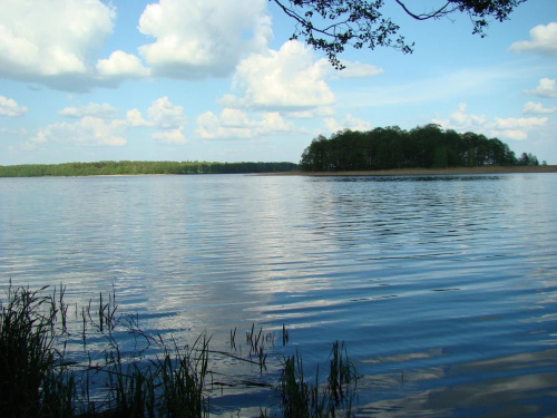 Jezioro Mamry tuż koło bunkrów w Mamerkach.