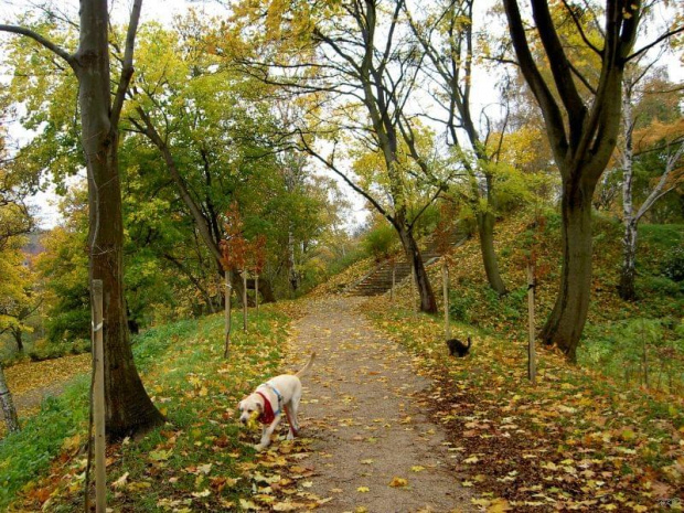 Wspominkowo, kolorowa jesień! (i ani slowa o przypalankach czy innych skazach, wiem sama wszystko, niebo szare jest szare a jak nie ma chmur to nie ma, biale wychodzi i kropka!!!!) #jesień #Gdańsk #FortyNapoleońskie