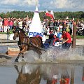 JARANTÓW 2008 Mistrzostwa Świata w Powożeniu Zaprzęgami Jednokonnymi