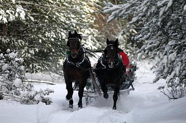 Podlaski Przełom Bugu miejscowość Serpelice #serpelice #mielnik #bug #JanówPodlaski #rzeka #latp #PodlaskiPrzełomBugu