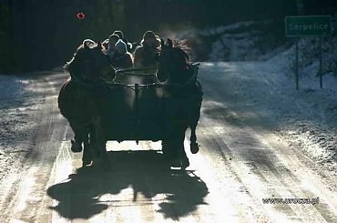 Podlaski Przełom Bugu miejscowość Serpelice #serpelice #mielnik #bug #JanówPodlaski #rzeka #latp #PodlaskiPrzełomBugu