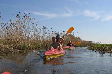 #podlasie #kajak #spływ #narew #NarwiańskiParkNarodowy #łapy #suraż #kurowo