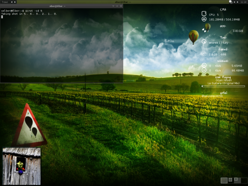 Lenny @ Fluxbox #Linux #Debian #Lenny #Fluxbox #Screenshot #Desktop