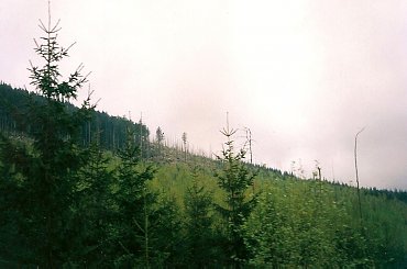 #góry #Karkonosze #krajobraz #park #szczyty #widoki