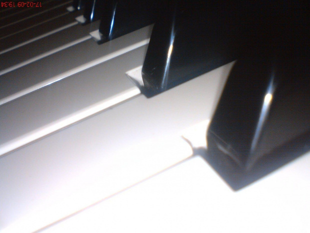#BiałoCzarne #klawisze #organy #pianino #fortepian #muzyka #utwory