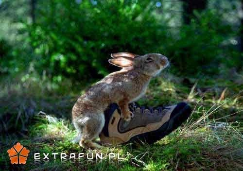 www.extrafun.pl #extrafun