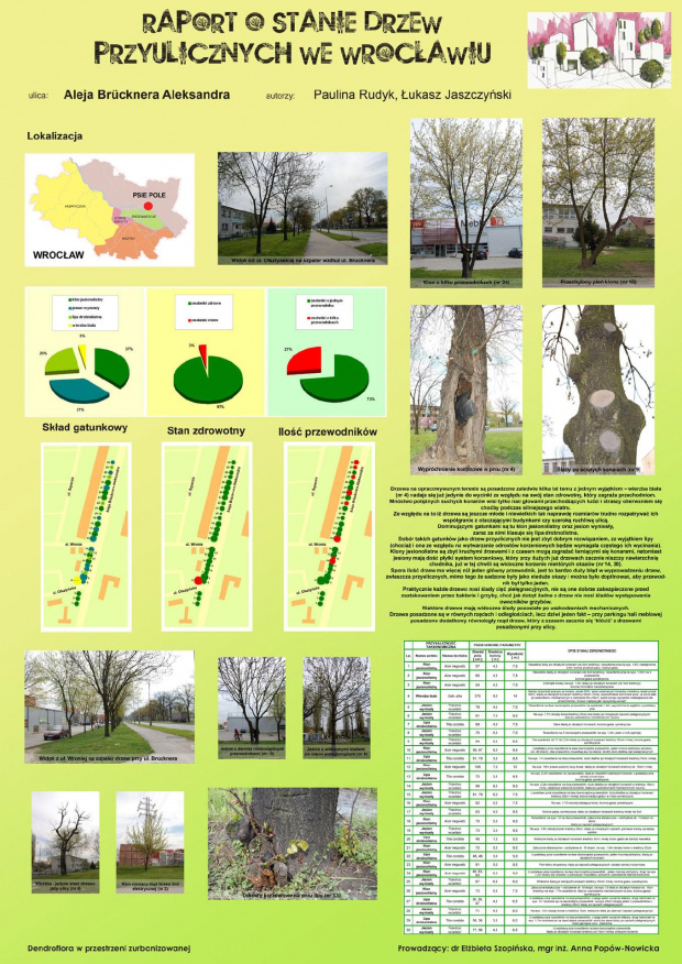 Raport o stanie drzew przyulicznych we Wrocławiu - poster
