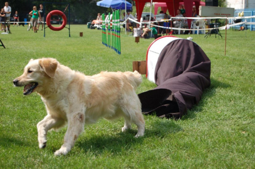 PP Agility Białystok 22.07.2007