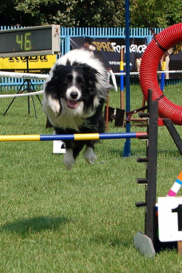 PP Agility Białystok 22.07.2007