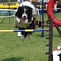 PP Agility Białystok 22.07.2007