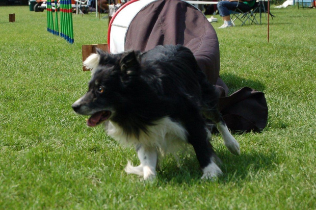 PP Agility Białystok 22.07.2007