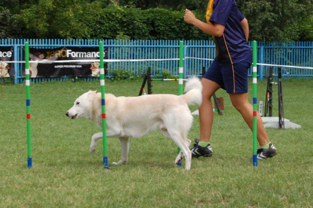 PP Agility Białystok 22.07.2007