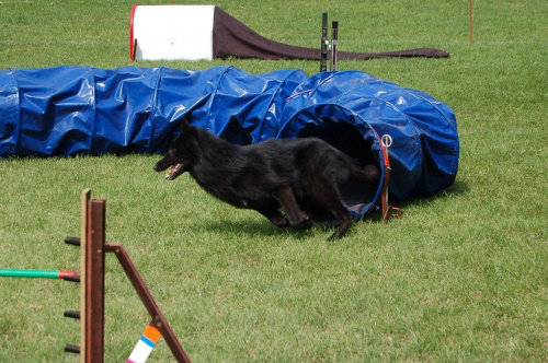 PP Agility Białystok 22.07.2007