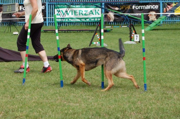 PP Agility Białystok 22.07.2007