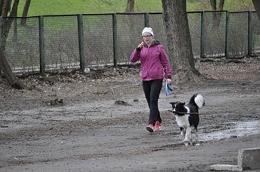 #BorderColie #Whisky