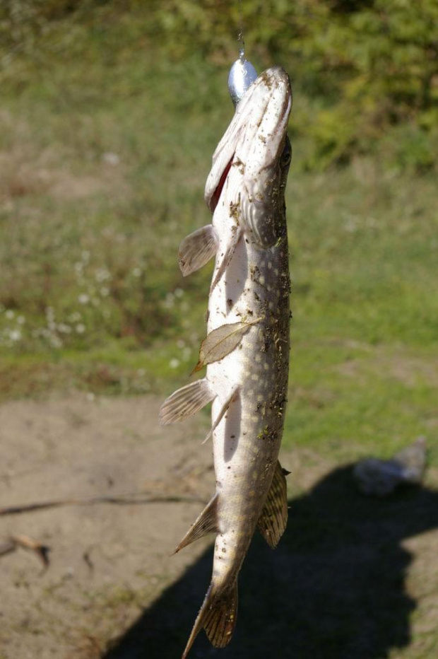 W tym miejscu najczęściej wędkuje i naj lepiej mi się wypoczywa