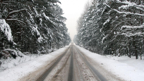 zima... w drodze do pracy #zima #snieg #drzewa #widok #plener