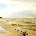 Plaża w stegnie www.stegna.za.pl #plaża #morze #woda #konar #stegna #pokoje