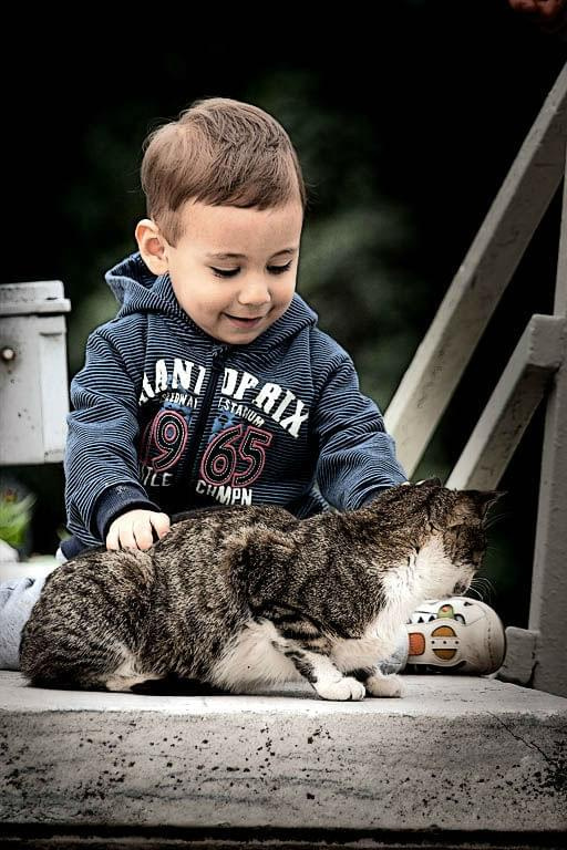 Mały Turek z tureckim kotem :)