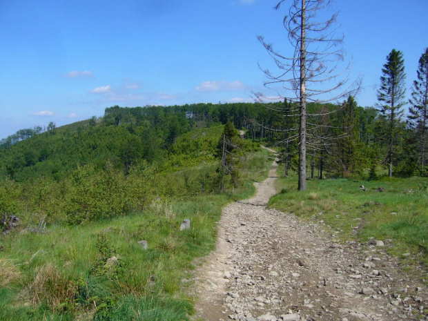 Beskid Mały,Czupel,Hrobacza Łąka,Magurka Wilkowicka,Straconka,Żarnówka Mała #BeskidMały #Czupel #HrobaczaŁąka #MagurkaWilkowicka #Straconka #ŻarnówkaMała