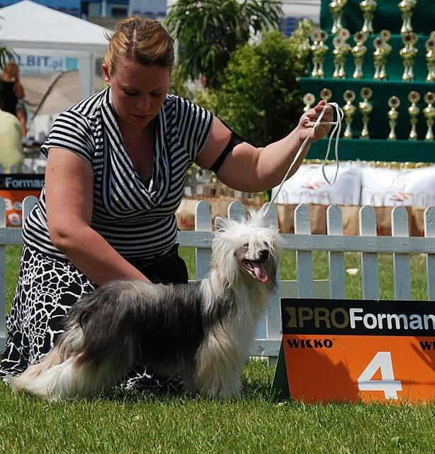 CACIB Leszno 2011