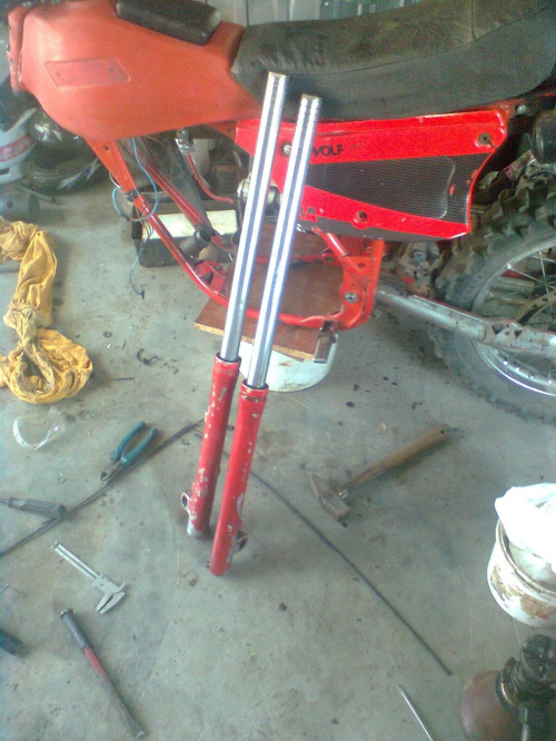 Fantic photos #fantic